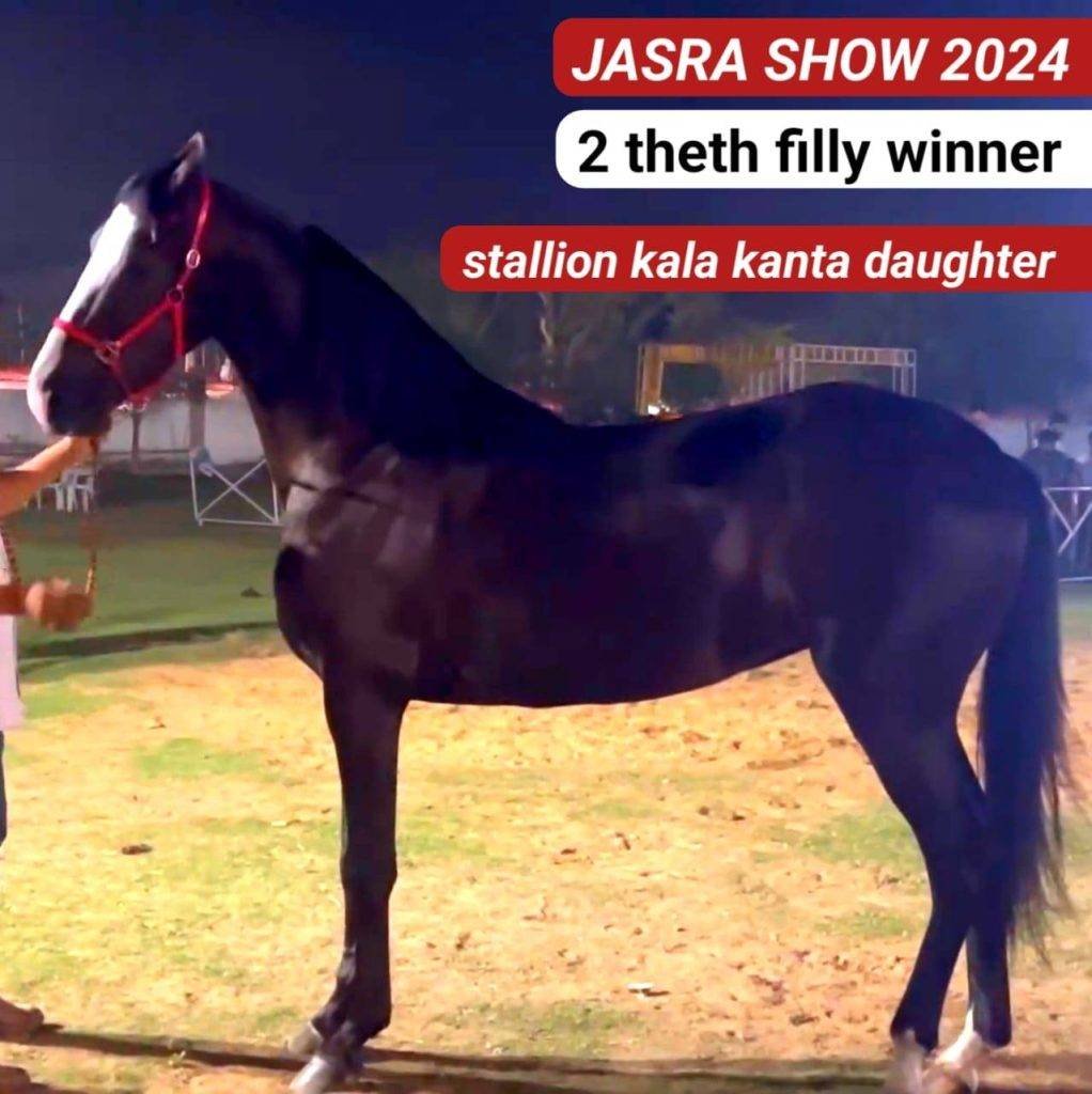 Jasra Show 2024