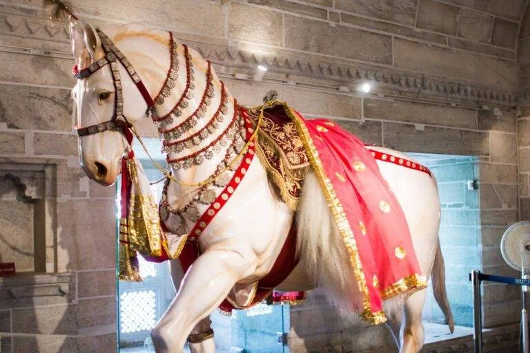 War Horses of India