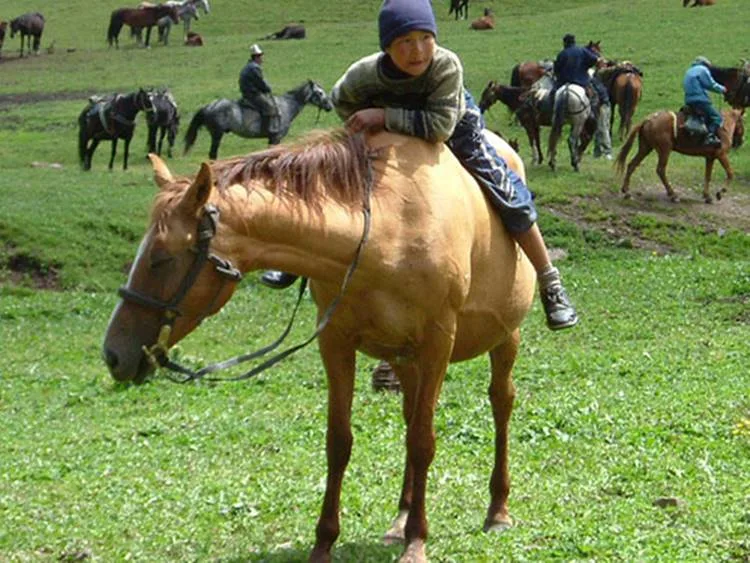 Indian Country-Bred