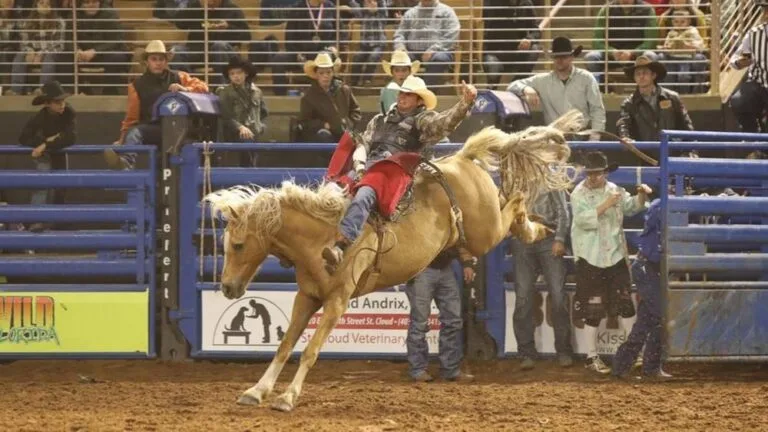 Midwest Horse Fair