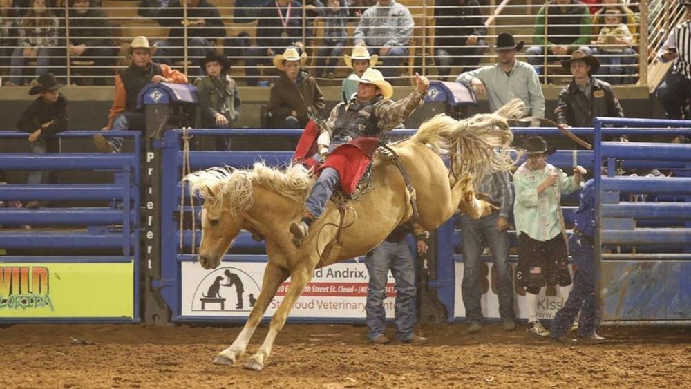Midwest Horse Fair