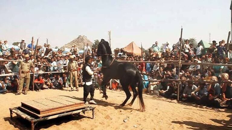 Pushkar fair India