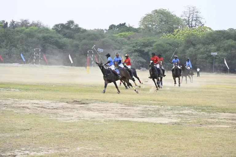 Surya Command Horse Riding Show