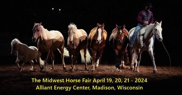Horse Fair Midwest