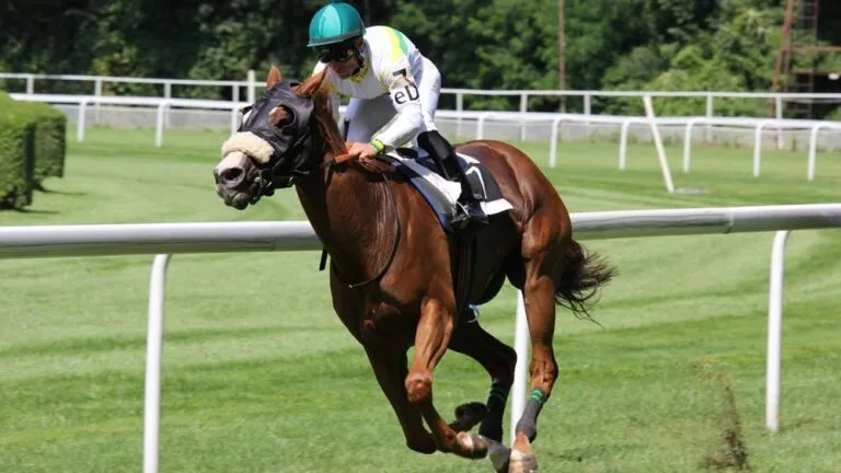 Racing horses