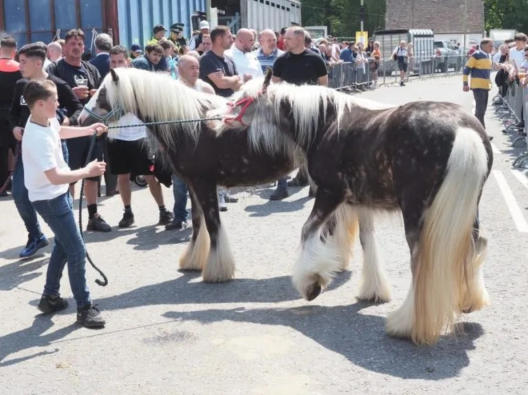 wickham horse fair