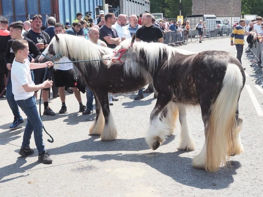 wickham horse fair