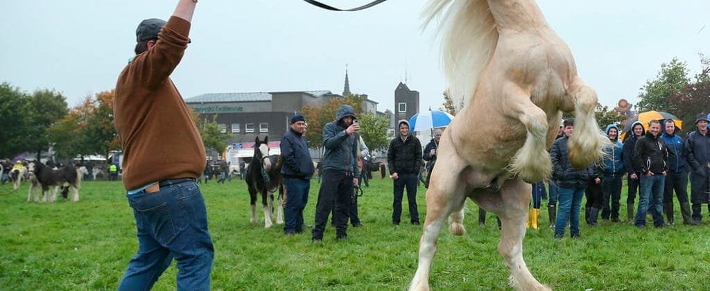 Ballinasloe Fair