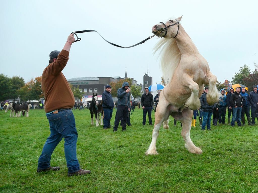 Ballinasloe Fair