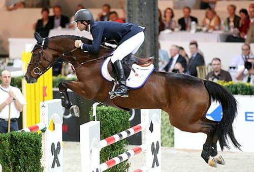 brazilian sport horse