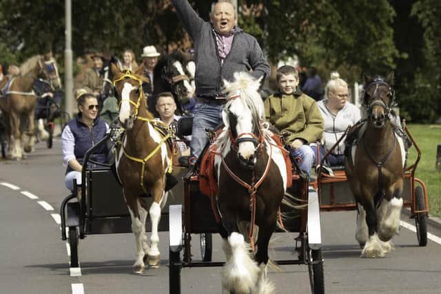 St. Boswells Horse