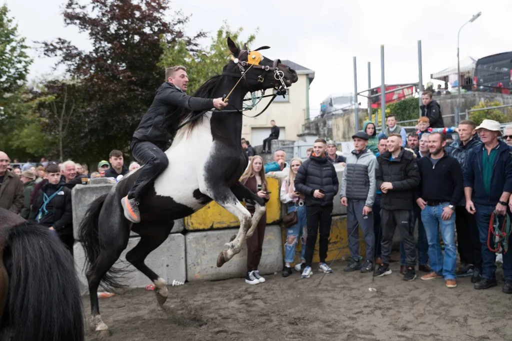 Ballinasloe Fair