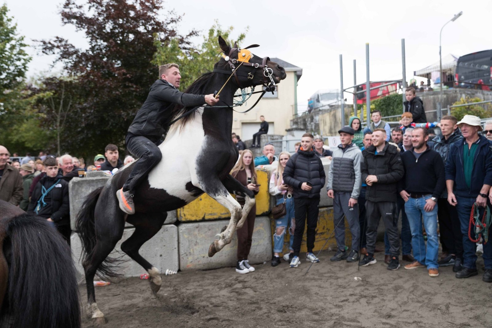 Ballinasloe Fair