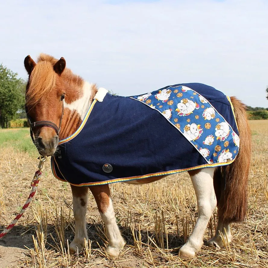 Shetland Pony