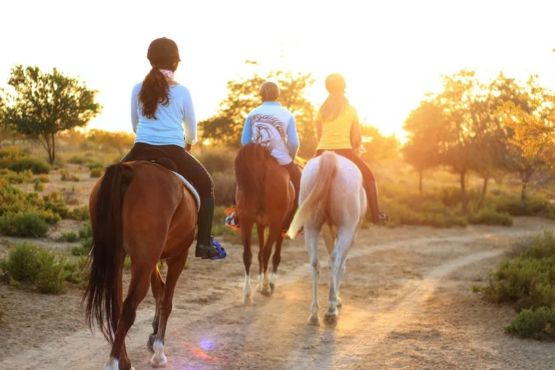 Tips for Safe Horseback Riding