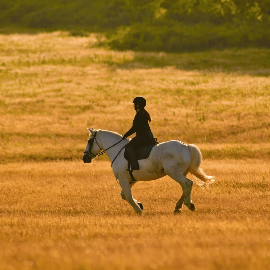 Things to Keep in Mind While Riding a Horse