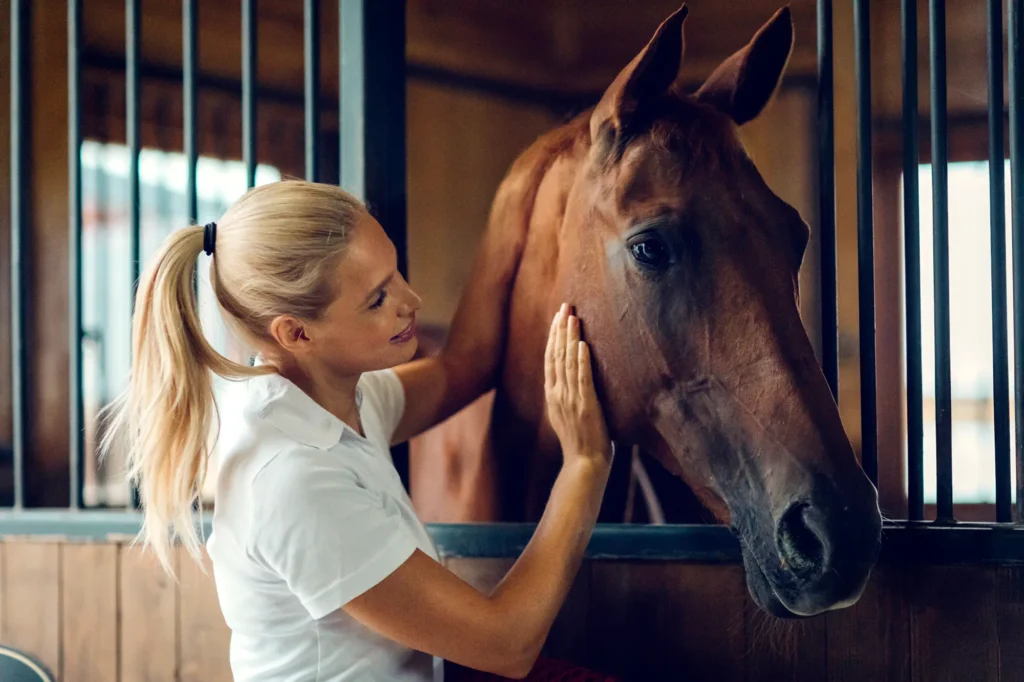 3 Common Causes of Equine Stress