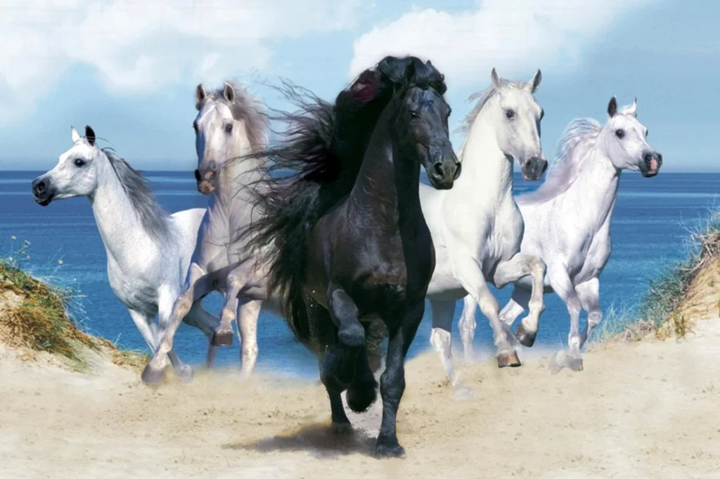 Top 5 horse Breed For Commercial Uses In Asia