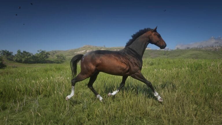 Turkoman Horse: Beauty and Resilience