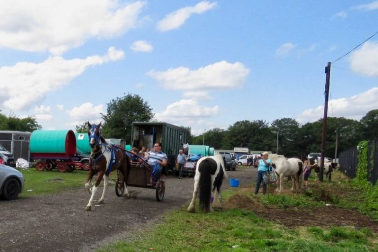 Brigg Horse Fair 2024: A Tradition of Community and Celebration
