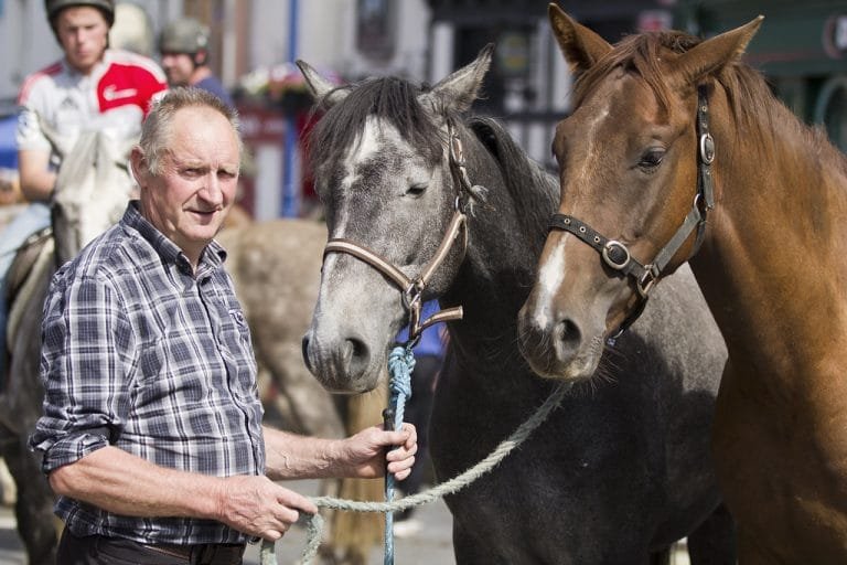 The Upcoming Tallow Horse Fair 2024