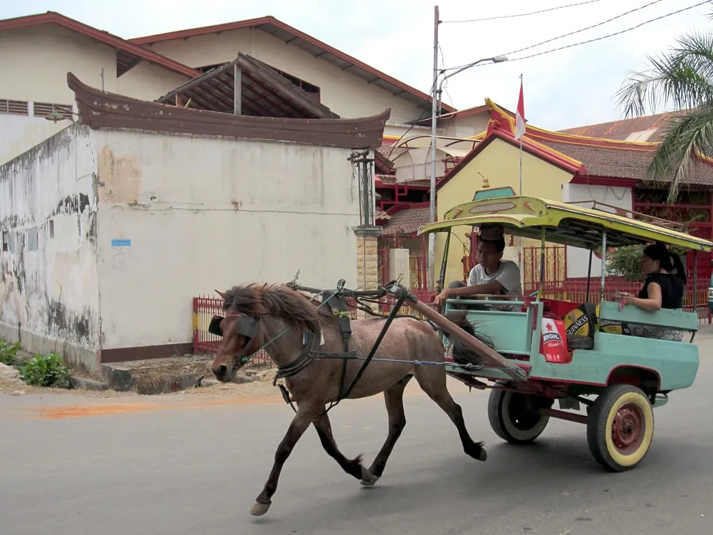 lombok horse