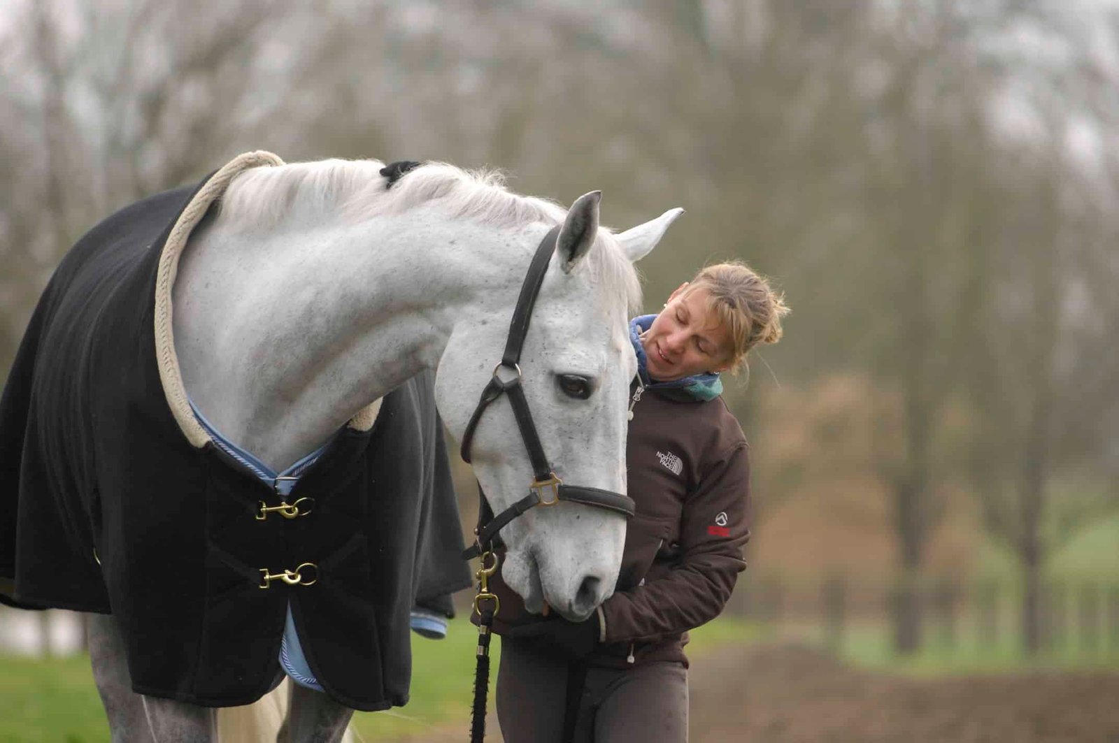 5 Signs of a Healthy Horse