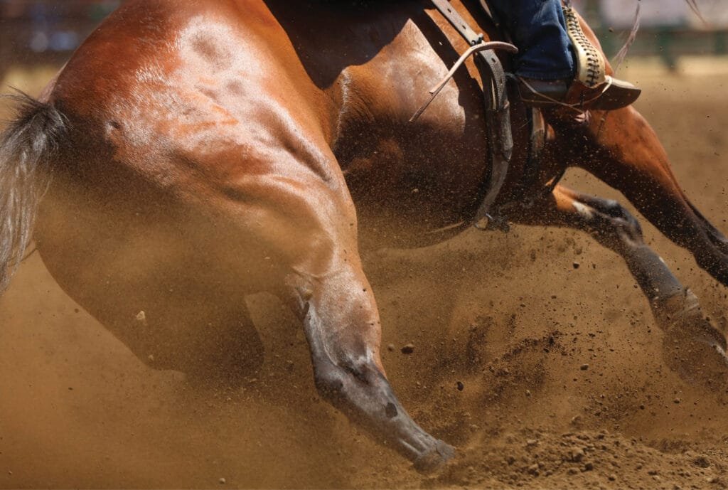 "Strengthening Weak Muscle Zones in Your Horse: A Comprehensive Guide"