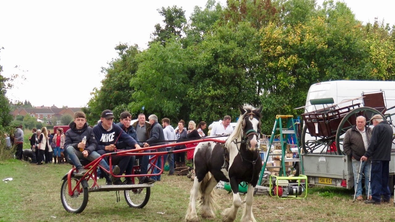 Lee Gap Horse Fair 2024: A Celebration of Equine Excellence and Community Spirit