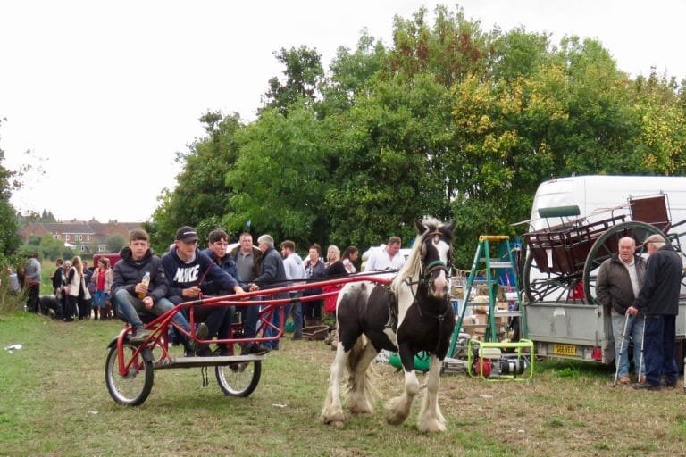 Lee Gap Horse Fair 2024: A Celebration of Equine Excellence and Community Spirit