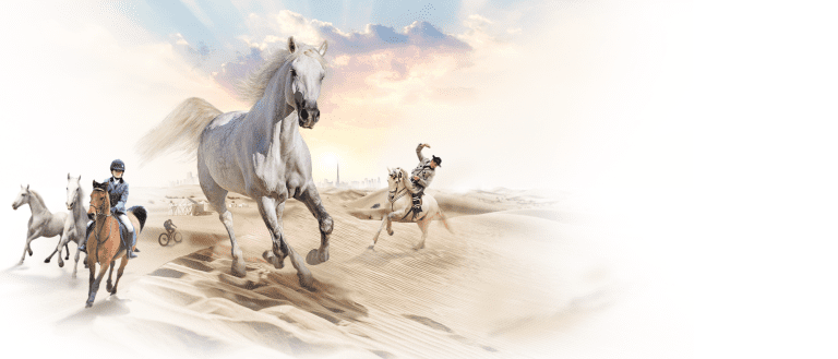 The Dubai International Horse Fair (UAE): A Showcase of Equestrian Excellence