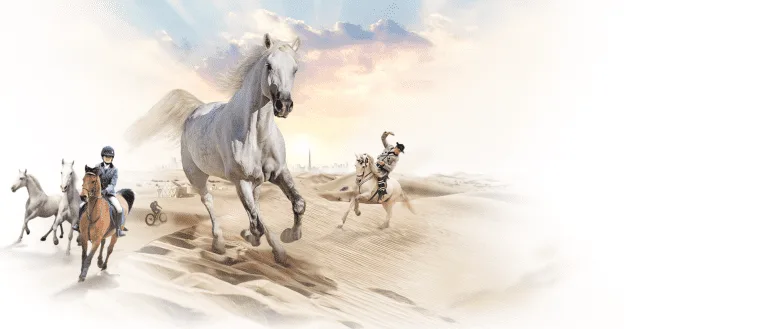 The Dubai International Horse Fair (UAE): A Showcase of Equestrian Excellence