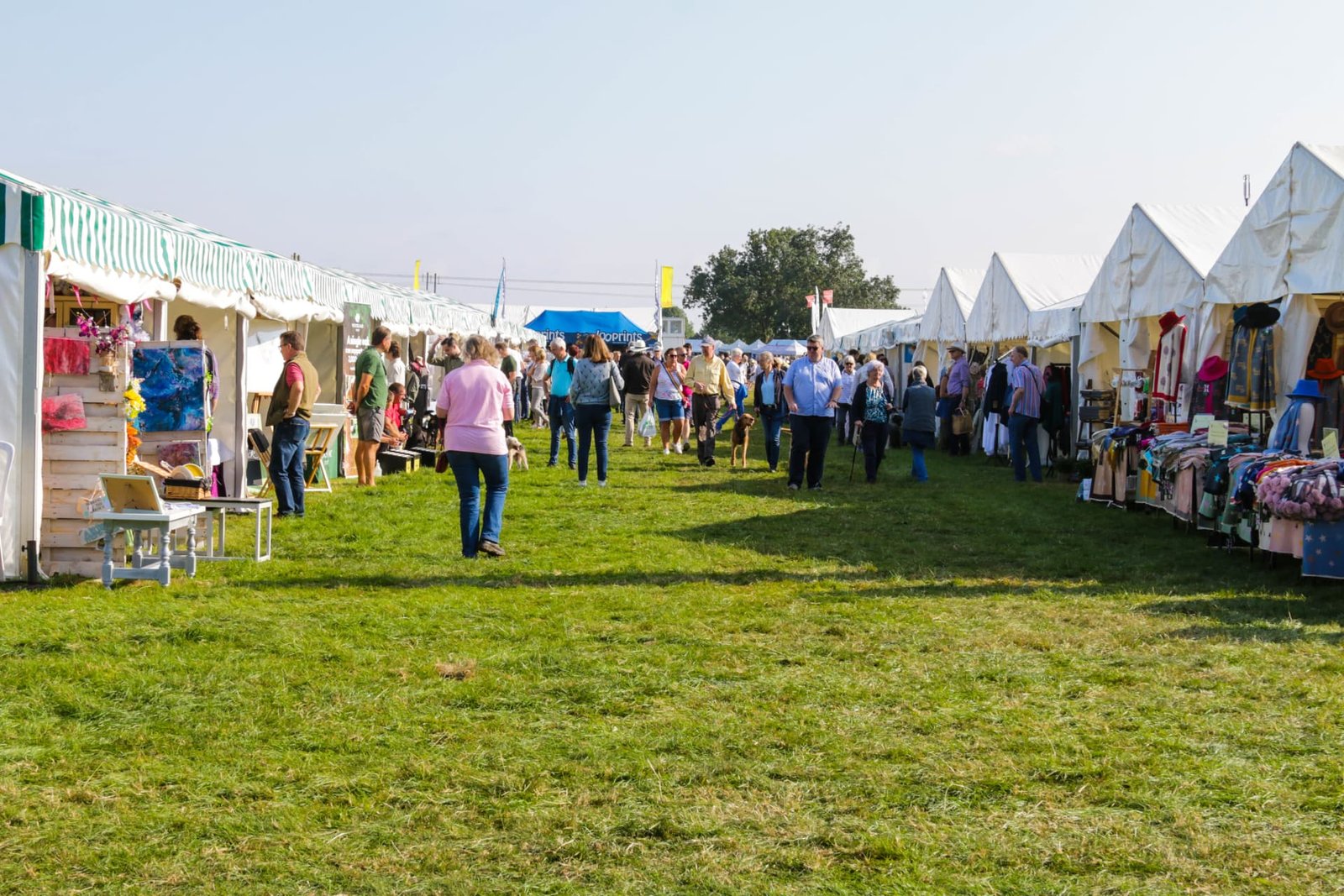 The Moreton In Marsh Show 2024