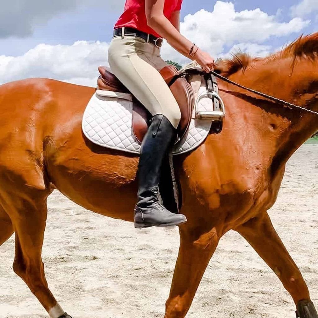 How to Stay Securely in the Saddle While Riding a Horse