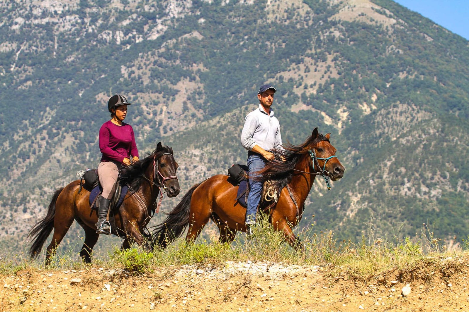 Albanian Horse: A Glimpse into a Unique Breed