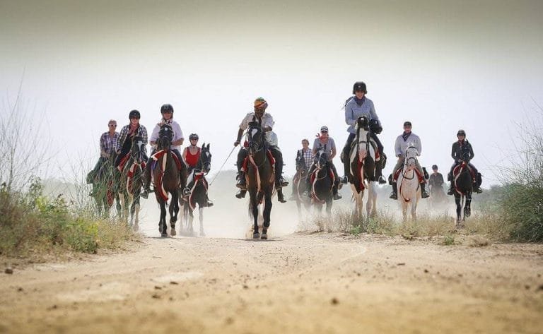 The Balotra Fair in Rajasthan, India, highlights cattle and horse trading, with lively cultural performances, traditional attire, and exciting horse riding events.