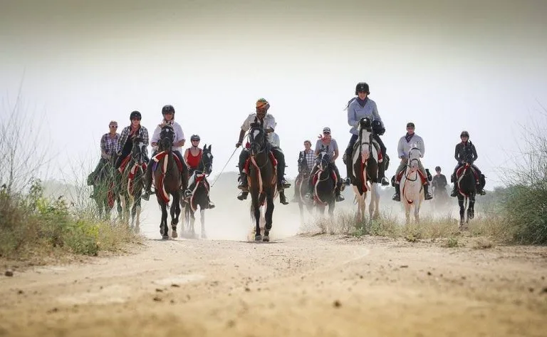 The Balotra Fair in Rajasthan, India, highlights cattle and horse trading, with lively cultural performances, traditional attire, and exciting horse riding events.