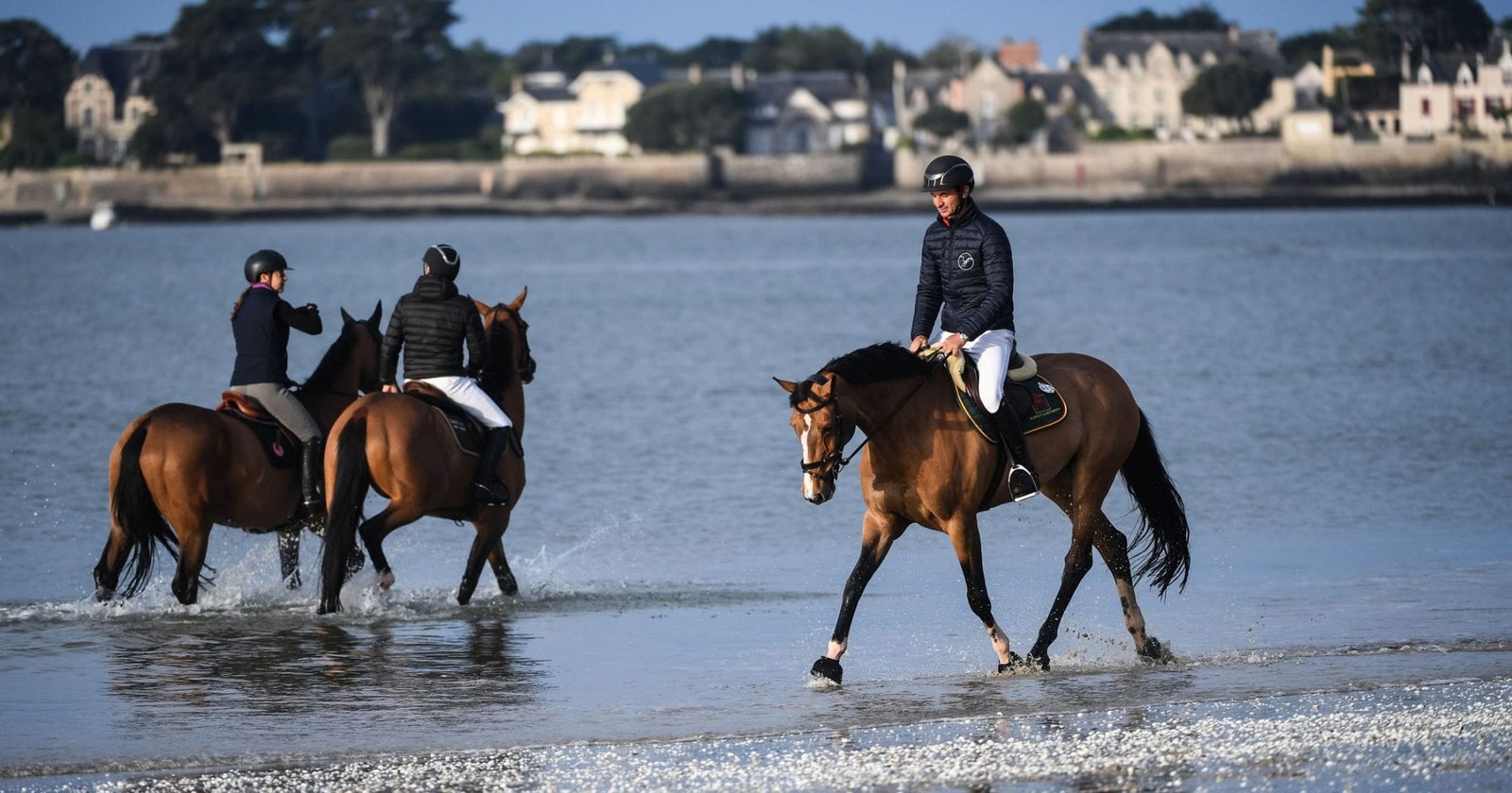 Health Tips for Equine Performance During Training, Travel, or Competition