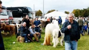 Tallow horse fair 2024