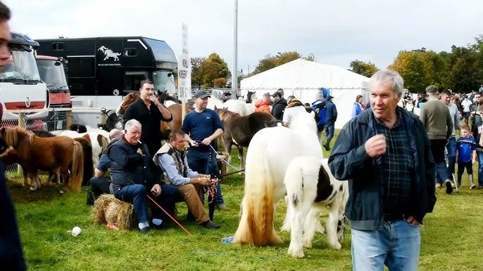 Tallow horse fair 2024