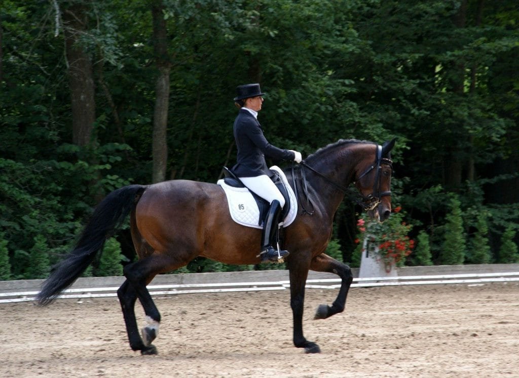 10 Essential Exercises to Enhance Your Horse Riding Seat and Balance