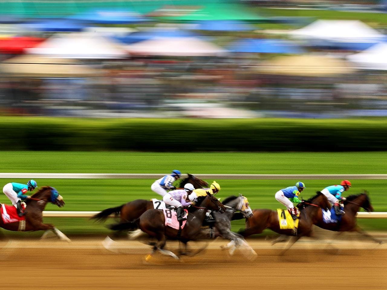"Champion Breeds: Which Country—France, Great Britain, Ireland, Italy, or Japan—Produces the Best Horses?"