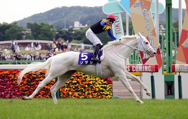 Japan: Rising Star in Horse Racing