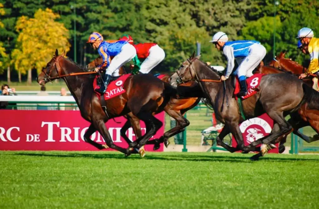 10 Legendary French Race Horses That Have Made Racing History