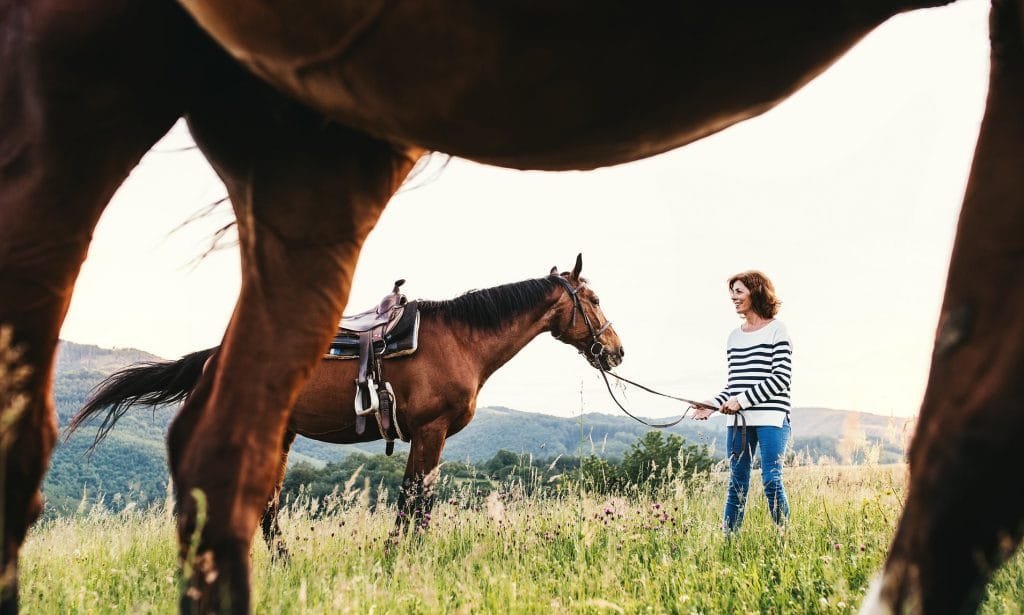 Can Horses Recognize Their Owners? Horses are fascinating creatures with incredible social skills
