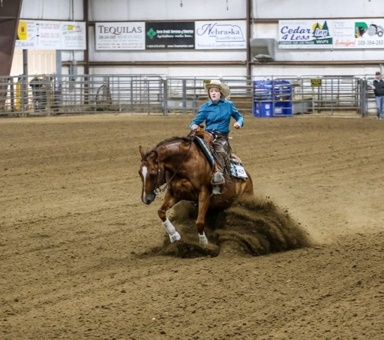 Iowa Horse Fair 2025:A Celebration of Equestrian Culture