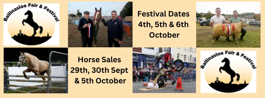 Ballinasloe horse fair 2024 schedule