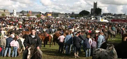 Ballinasloe Horse Fair & Festival 2024 in Ireland,One of the largest and oldest horse festivals in Europe