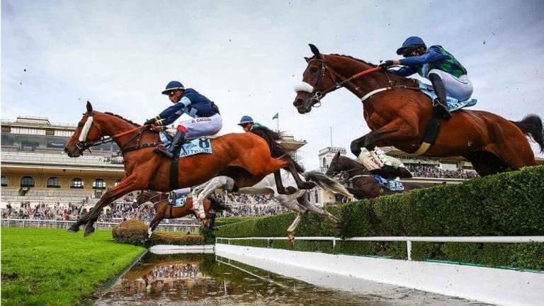 10 "Legendary French Horses: Icons of Racing and Show Jumping Excellence