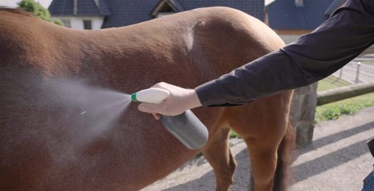 A Breath of Fresh Air: How Fly Spray Protects Your Horse,Essential for Your Horse’s Comfort